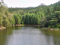 -滴水岩森林公园
