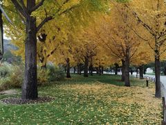 -北京植物园-展览温室