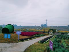 -紫颐香薰山谷景区