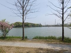 -昆山城市生态森林公园