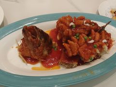 松鼠桂鱼-金典银峰老鹅馆·昆山菜(亭林公园店)