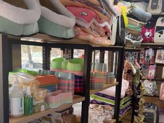 -康爱犬猫诊所·牙专科·骨外科·影像内科(丰宁店)