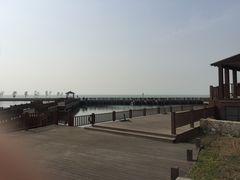 -新木器时代餐厅(太湖新天地店)