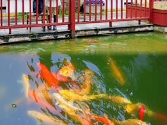 -武汉紫薇都市田园