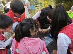 -成都市活水公园