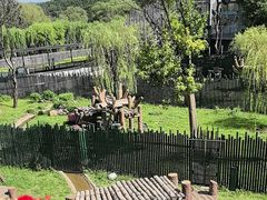 -沈阳森林动物园