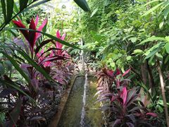-呀路古热带植物园