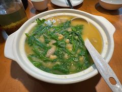 豌豆尖豆汤-永乐饭店