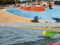 -春花秋色城市公园