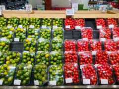 -T11生鲜超市(朝阳公园店)