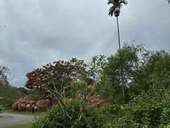 -中国科学院西双版纳热带植物园