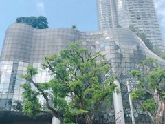 -爱雍·乌节