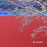 去年打卡太庙，今年打卡天坛