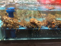-阿伟海鲜楼·福建菜(延寿店)
