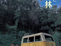 -东莞市大岭山森林公园