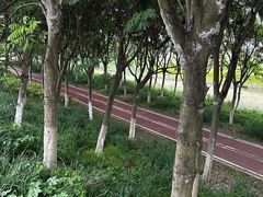 -西京湾花海