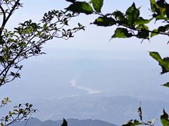 -武陵山森林公园