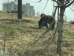 -太原动物园
