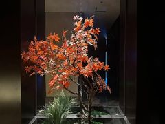 -康熙养生SPA·轻奢足道(江宁万达店)