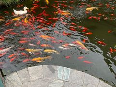 -成飞公园