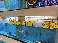 -鸿鑫海鲜楼(建联店)