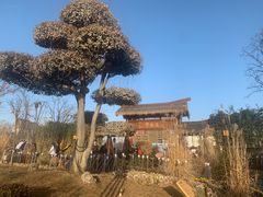 -诗经里
