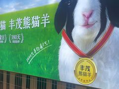 -丰茂烤串(公园店)