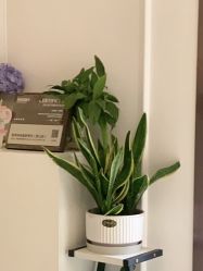 -香秀空间科技抗衰·美容中心