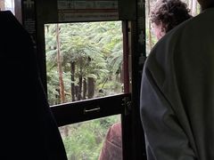-普芬比利蒸汽火车