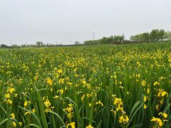 -永定河休闲森林公园
