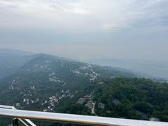 -大金鹰园