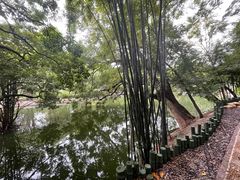 -人民公园(罗湖区)