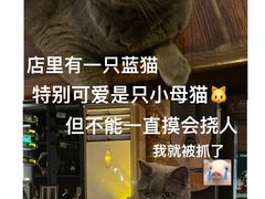 -OX BAR 拉培耶小镇(大连老街店)