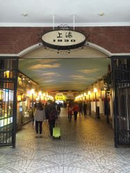 -Park Salon脏辫羽毛接发