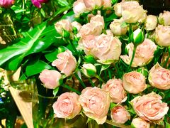 -植物学家的女儿(北马道巷店)