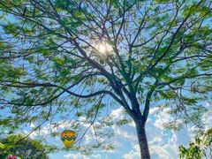 -中国科学院西双版纳热带植物园