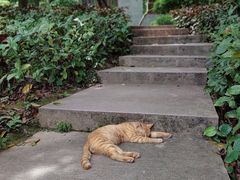 -广州兰圃