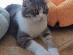 -Catmate·猫肥家润(金润铂宫店)