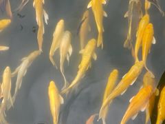 -方城县七峰山生态旅游区