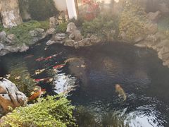 -鲤院·新中式美学·庭院餐厅(夫子庙店)