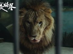 -嘉华国际影城(学清路店)