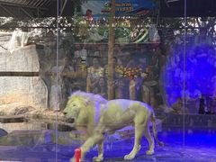 -清迈夜间动物园