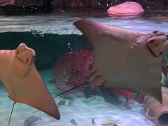 -沈阳海洋探索中心