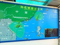 -广东惠东海龟国家级自然保护区