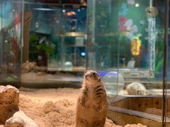 -昆明大悦城未来动物城(螺蛳湾中心店)