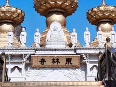 -上海东林寺(金山区)
