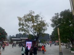 -磁器口古镇