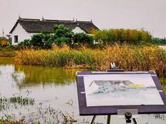 -上海长兴岛郊野公园