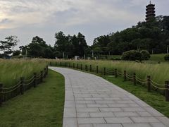 -红花山公园