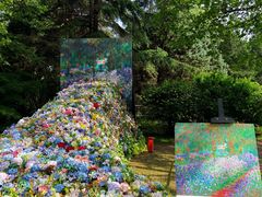 -上海共青森林公园